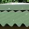 Green Roofing